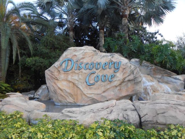 1Discovery Cove 1