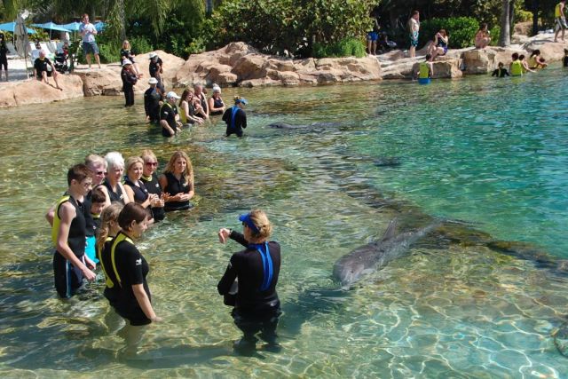 1Discovery Cove 102