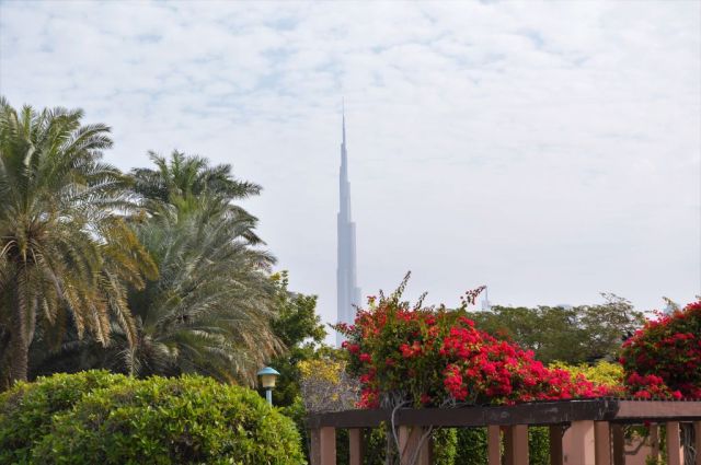 5Jumeirah Beach Park 2