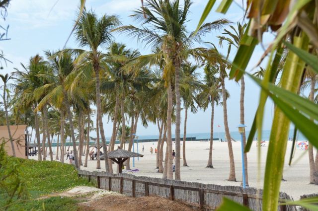 5Jumeirah Beach Park 5