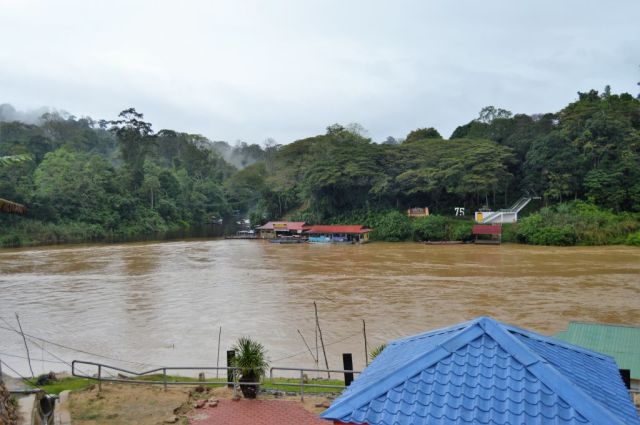 2Taman Negara158
