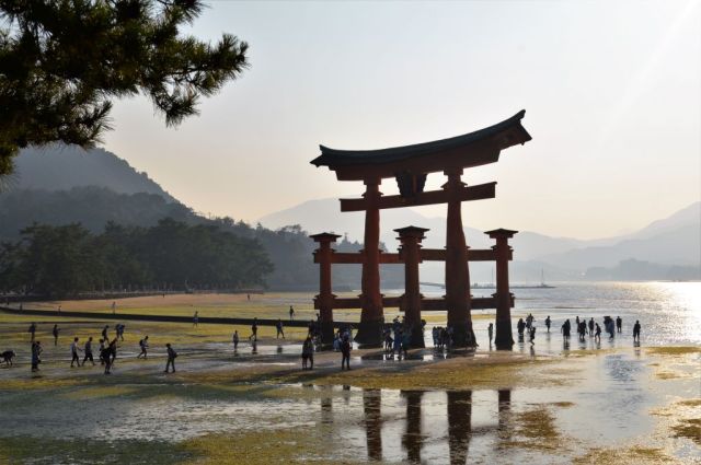 1Miyajima36