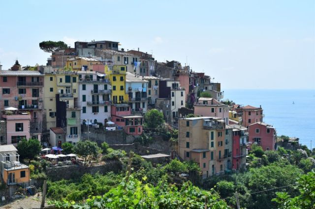 5Corniglia17