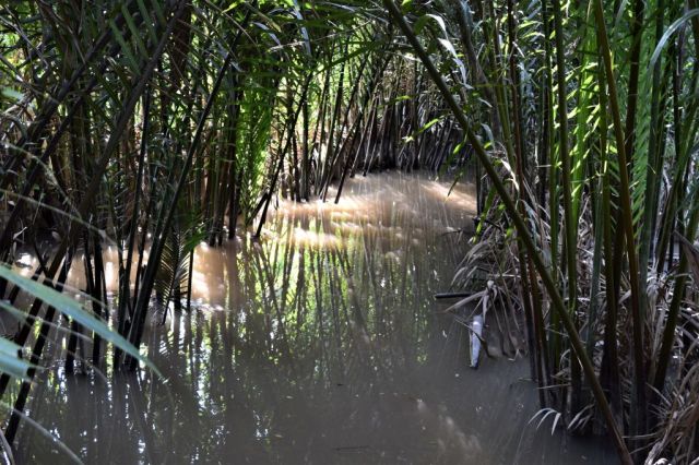 11Båttur Mekongfloden 5