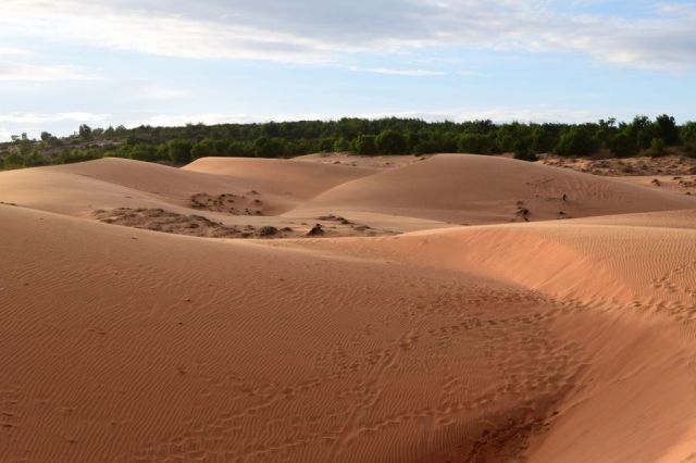 5Röda sanddyner 54