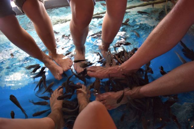 6Fiskspa Night Market 14