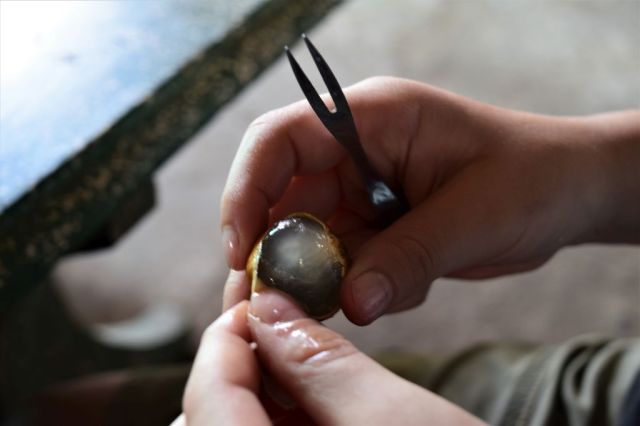 7Fruktprovning Mekongfloden 19