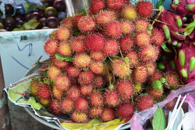 7Fruktprovning Mekongfloden 6