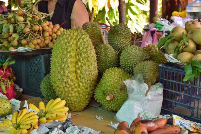 7Fruktprovning Mekongfloden 8