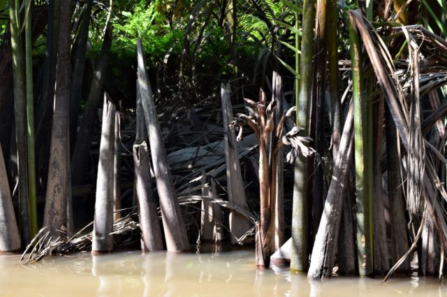 8Båttur Mekongfloden 40