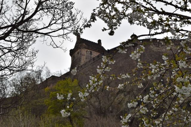 11West Princes Street Gardens 13