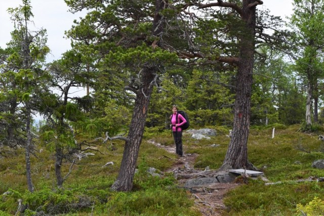 Lunndörren-Vålåstugan 19 - kopia