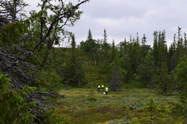 Lunndörren-Vålåstugan 7