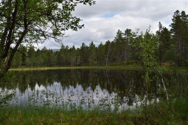 Stensdalen-Vålådalen 108