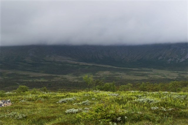 Stensdalen-Vålådalen 12