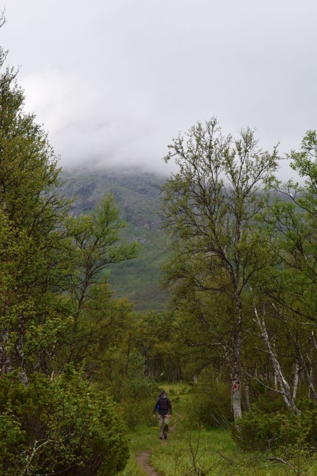 Stensdalen-Vålådalen 4