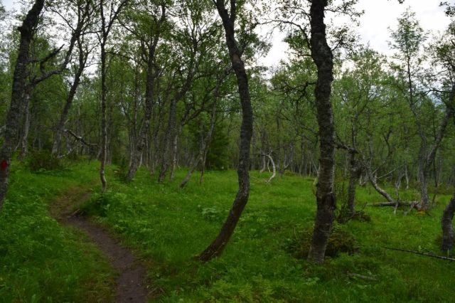 Stensdalen-Vålådalen 52