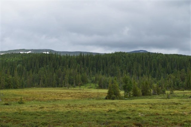 Stensdalen-Vålådalen 66