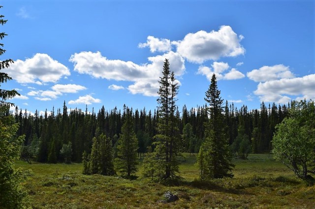 Vålådalen-Lunndörren 100