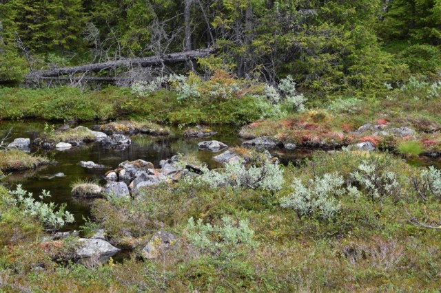 Vålådalen-Lunndörren 97