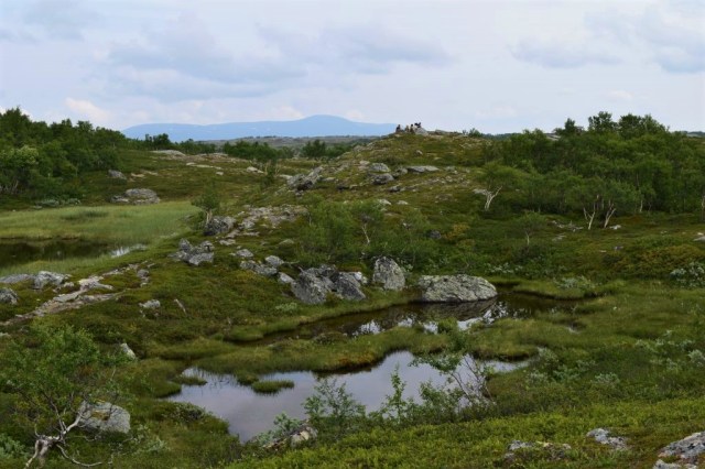 Vålåstugan-Stensdalen 47