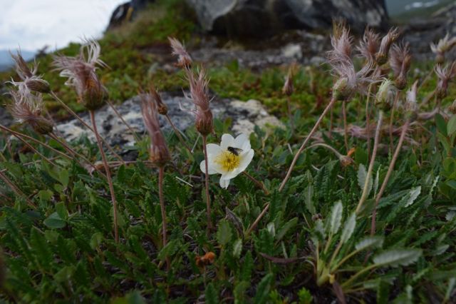 Vålåstugan-Stensdalen 60
