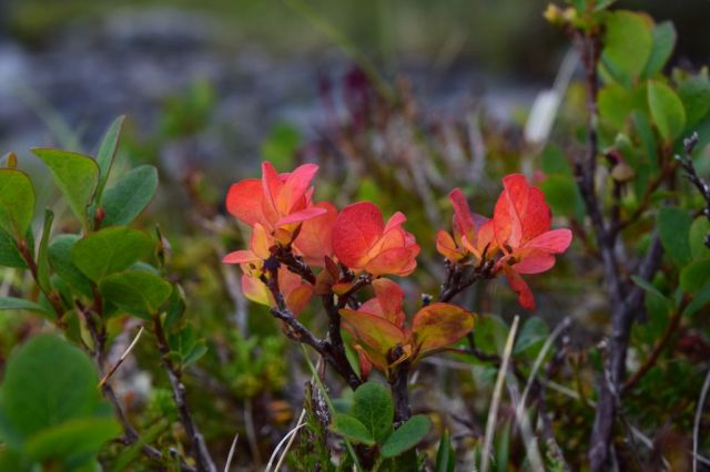 Vålåstugan-Stensdalen 76