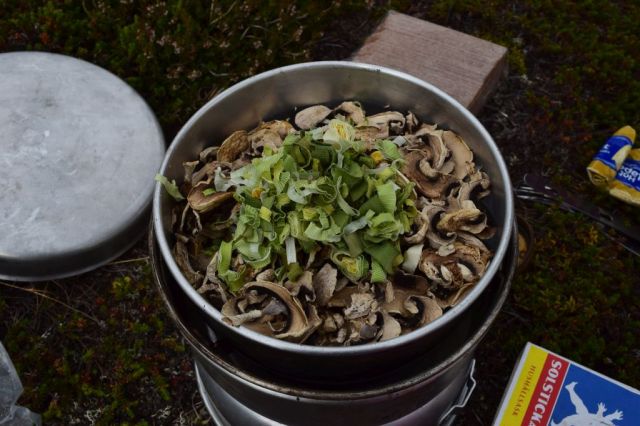 Vålåstugan-Stensdalen 87