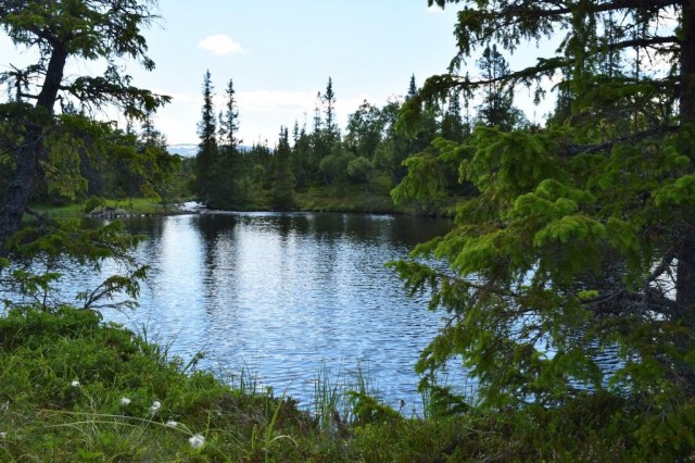 Vålådalen-Lunndörren 113