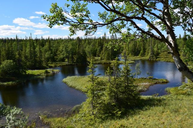 Vålådalen-Lunndörren 119