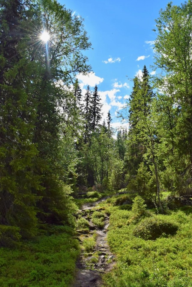 Vålådalen-Lunndörren 25