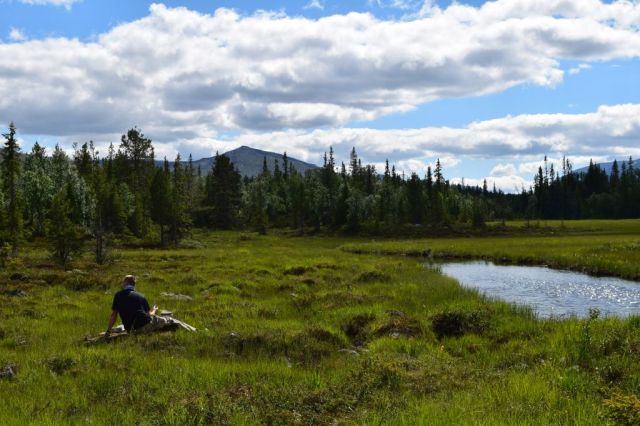 Vålådalen-Lunndörren 81