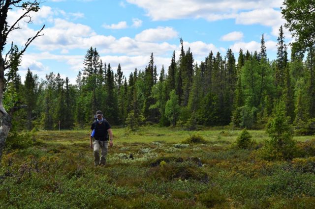 Vålådalen-Lunndörren 87