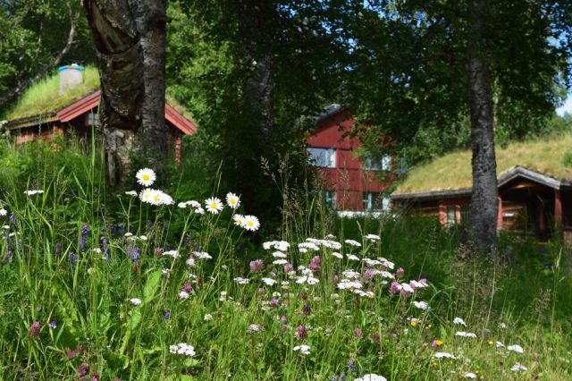 Vålådalens fjällstation 16