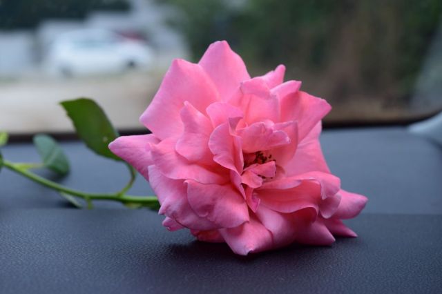 Apartment Azure Adriatic, Kotor 31