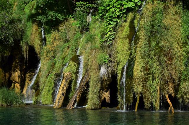 Plitvicesjöarna 122