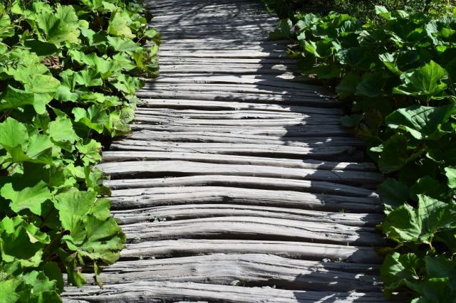 Plitvicesjöarna 143