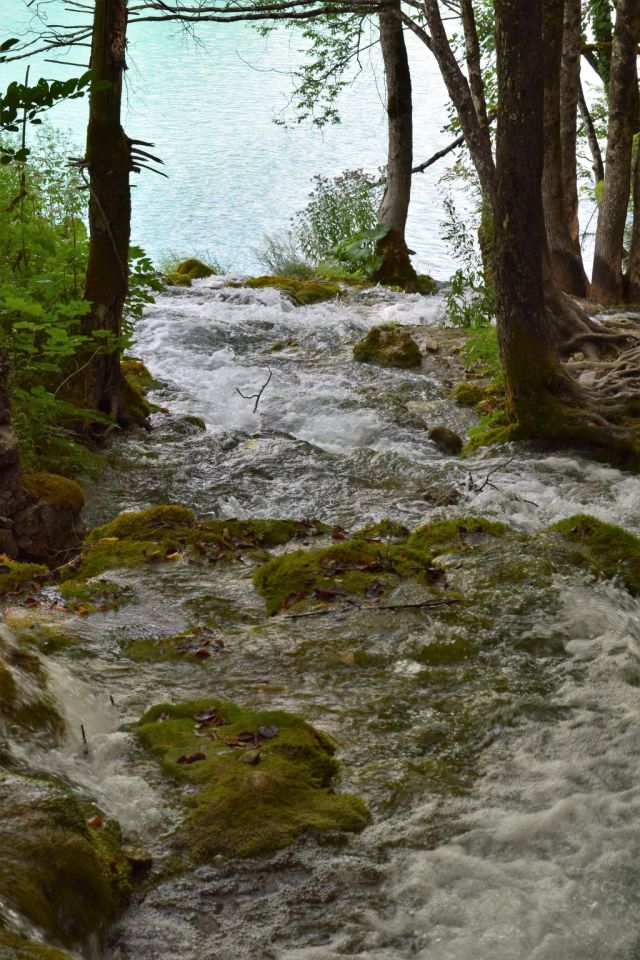Plitvicesjöarna 163