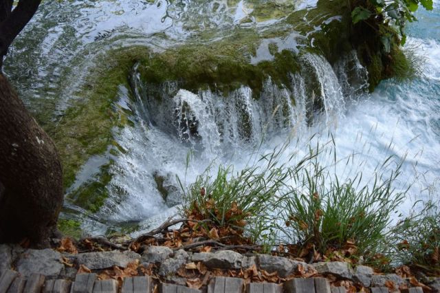 Plitvicesjöarna 188