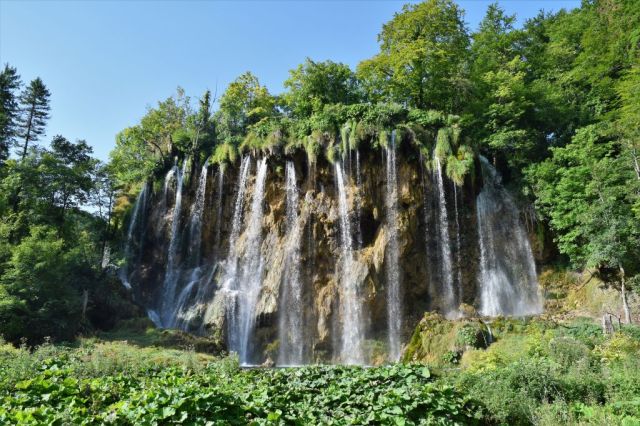 Plitvicesjöarna 72