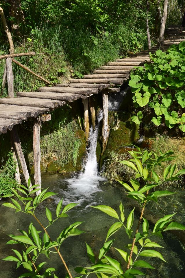 Plitvicesjöarna 84