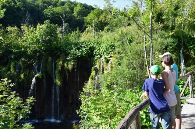 Plitvicesjöarna 88