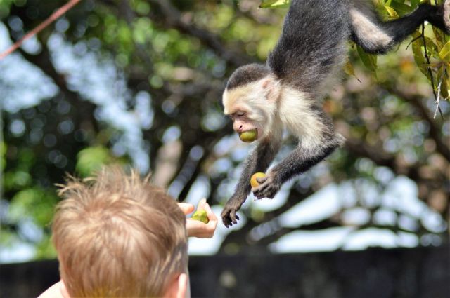 10Båttur Lake Nicaragua 51