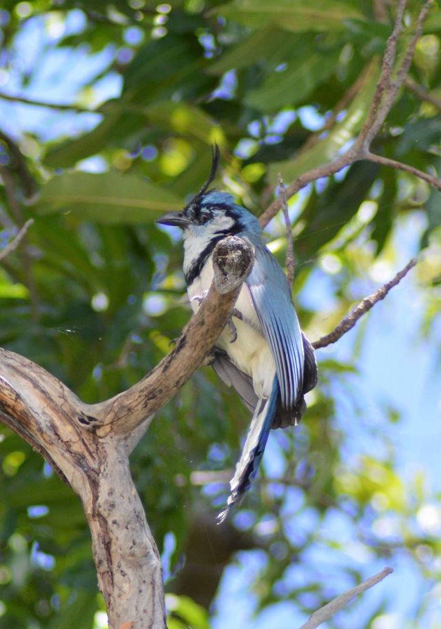 10Båttur Lake Nicaragua 54