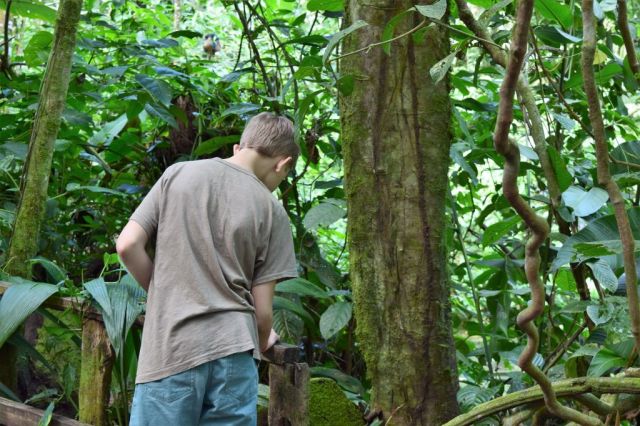 1Danaus Ecocenter 67