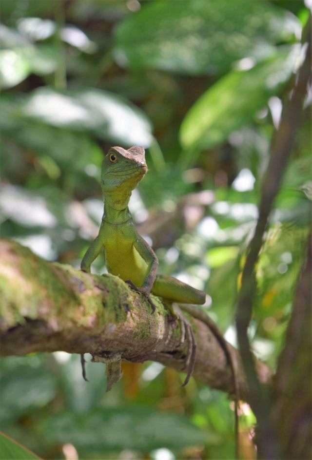 1Danaus Ecocenter 73