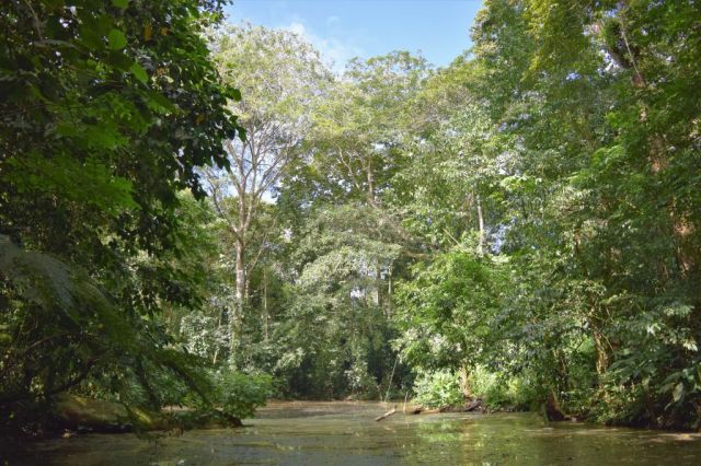 1Danaus Ecocenter 80