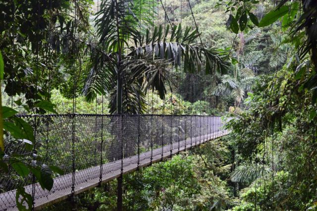 1Mistico Hanging Bridges 110
