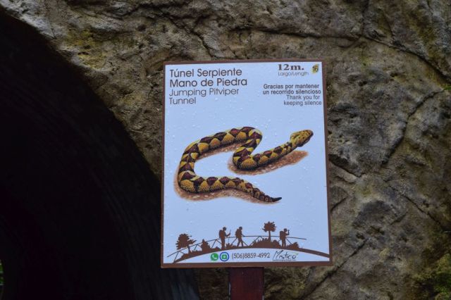 1Mistico Hanging Bridges 128