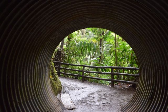1Mistico Hanging Bridges 130